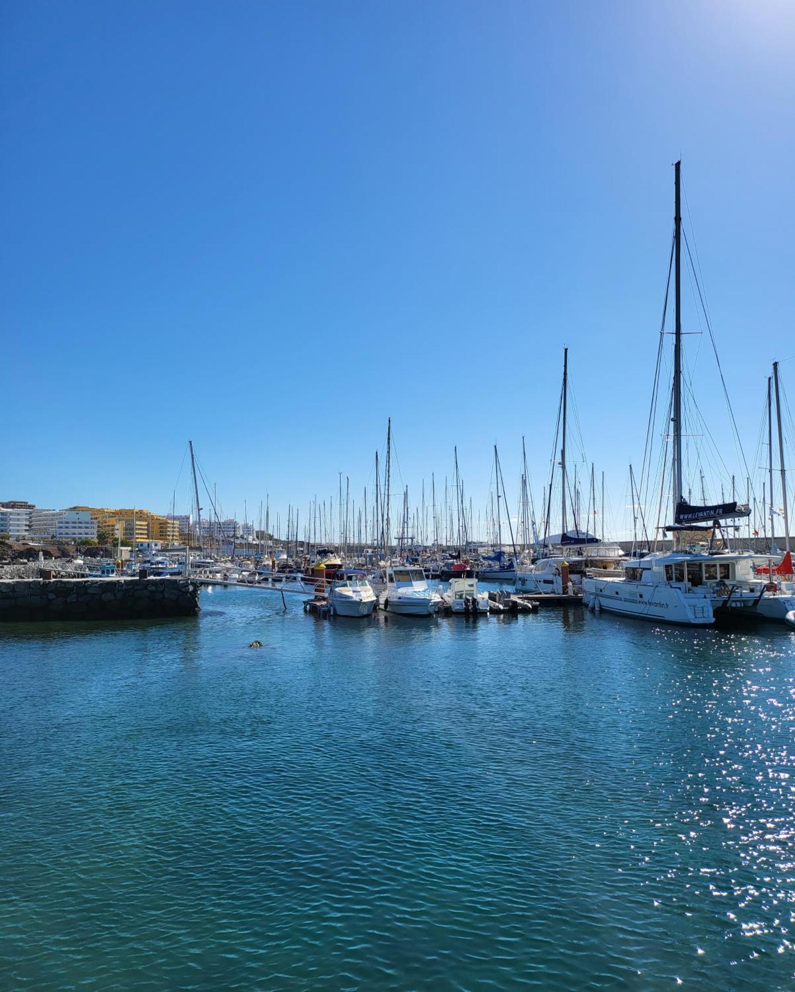 Lovely Apartment Top Views, Heated Pool, Great Location San Miguel de Abona Eksteriør bilde