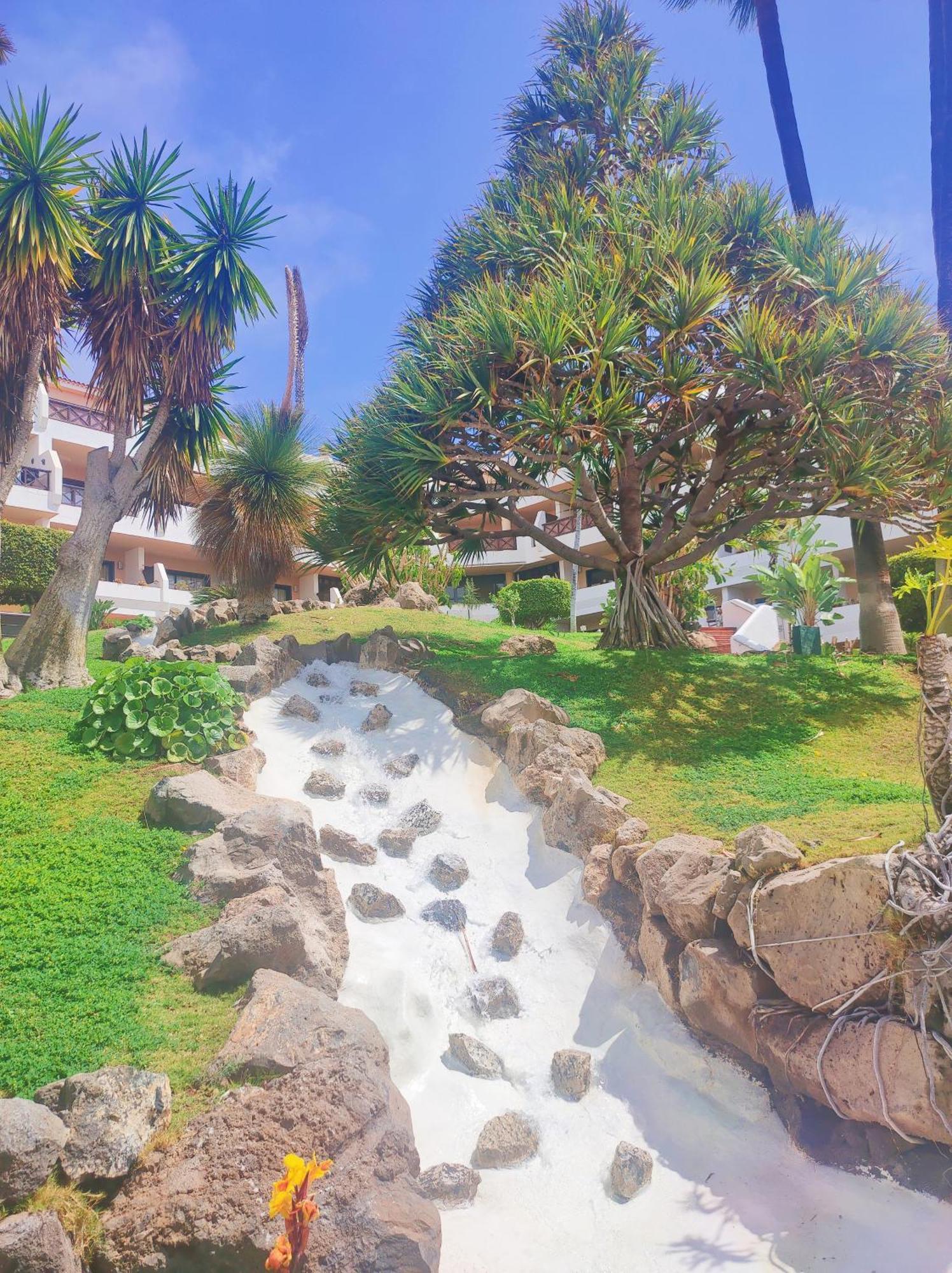 Lovely Apartment Top Views, Heated Pool, Great Location San Miguel de Abona Eksteriør bilde